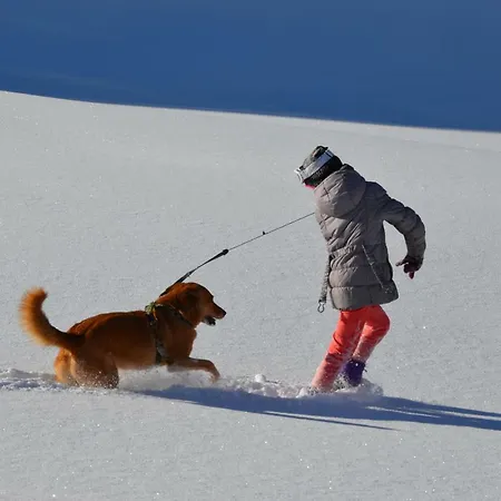 Dom wakacyjny Gaestehaus Christophorus Innerkrems
