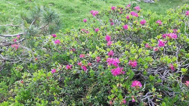 Gaestehaus Christophorus Casa vacanze *