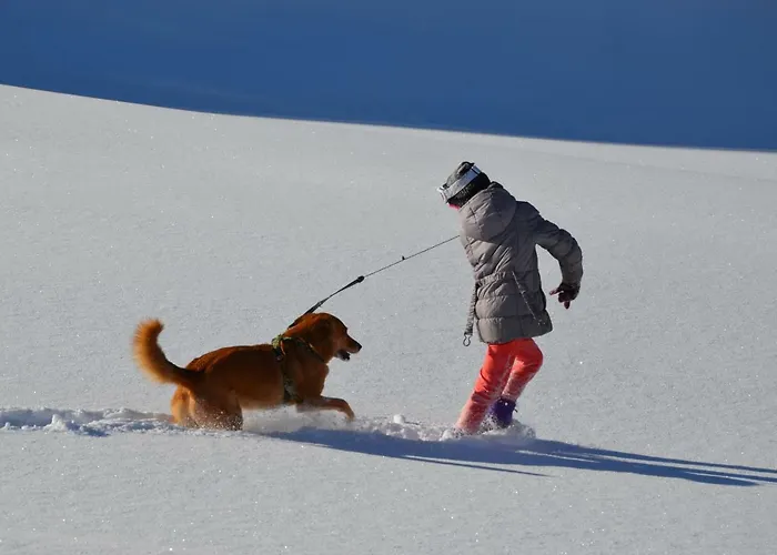 Dom wakacyjny Gaestehaus Christophorus Innerkrems